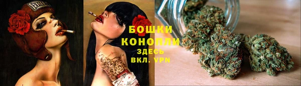 соль ск Арсеньев