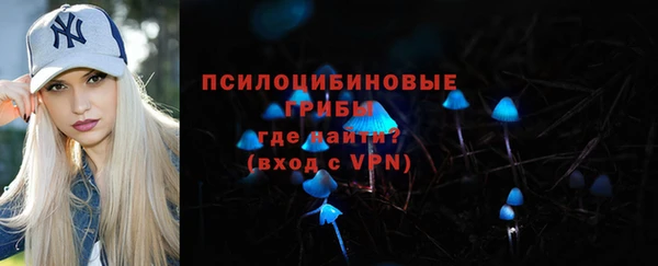 соль ск Арсеньев