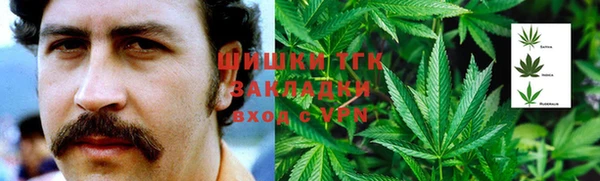 эйфоретик Аркадак