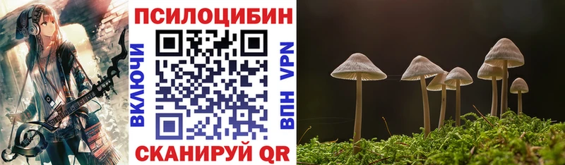 Галлюциногенные грибы Cubensis Беслан