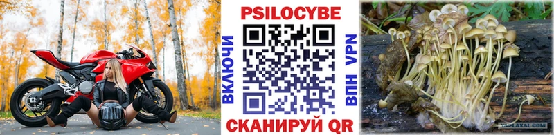 Псилоцибиновые грибы ЛСД  цены   Беслан 